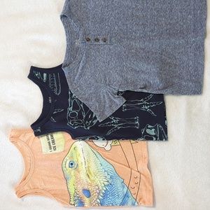 Falls Creek Shirt Bundle, 3T